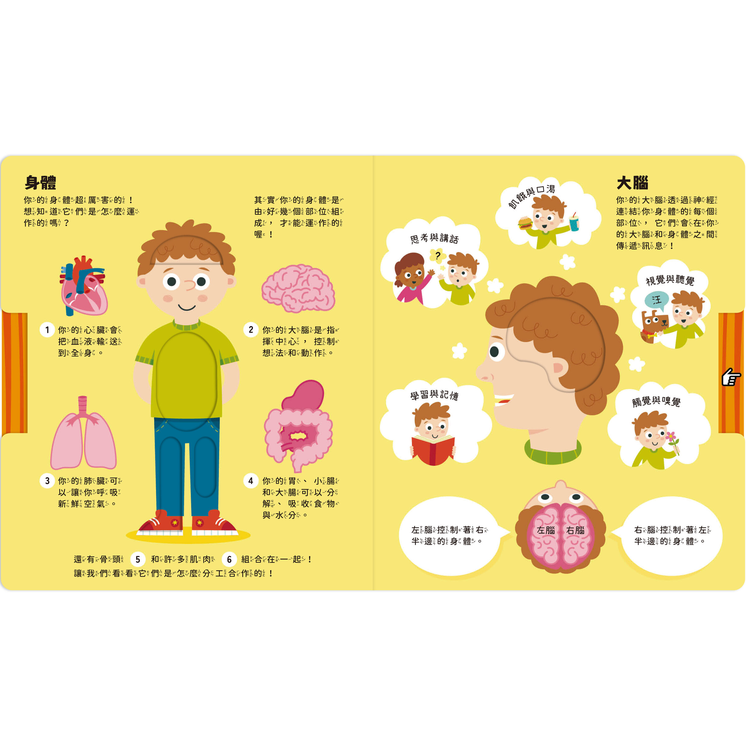 Pull-and-Look！真的想知道！-身體會發生的事-內頁1