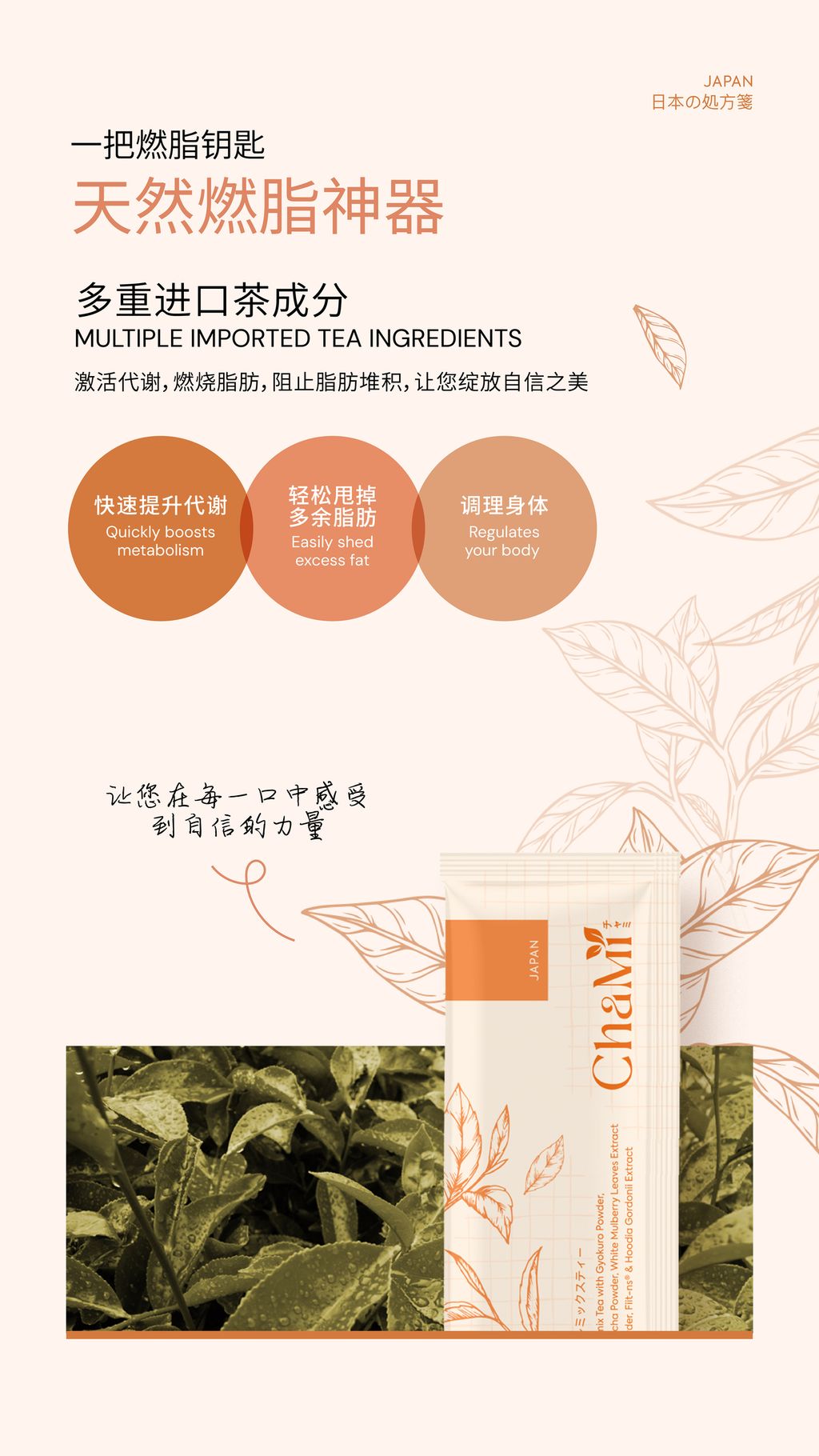 IMG_5082-1731288498347