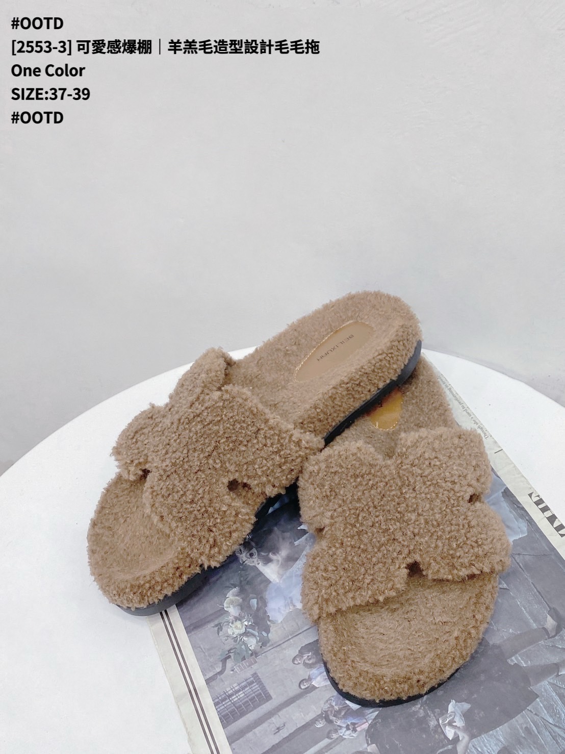 [2553-3] 可愛感爆棚｜羊羔毛造型設計毛毛拖 (5)