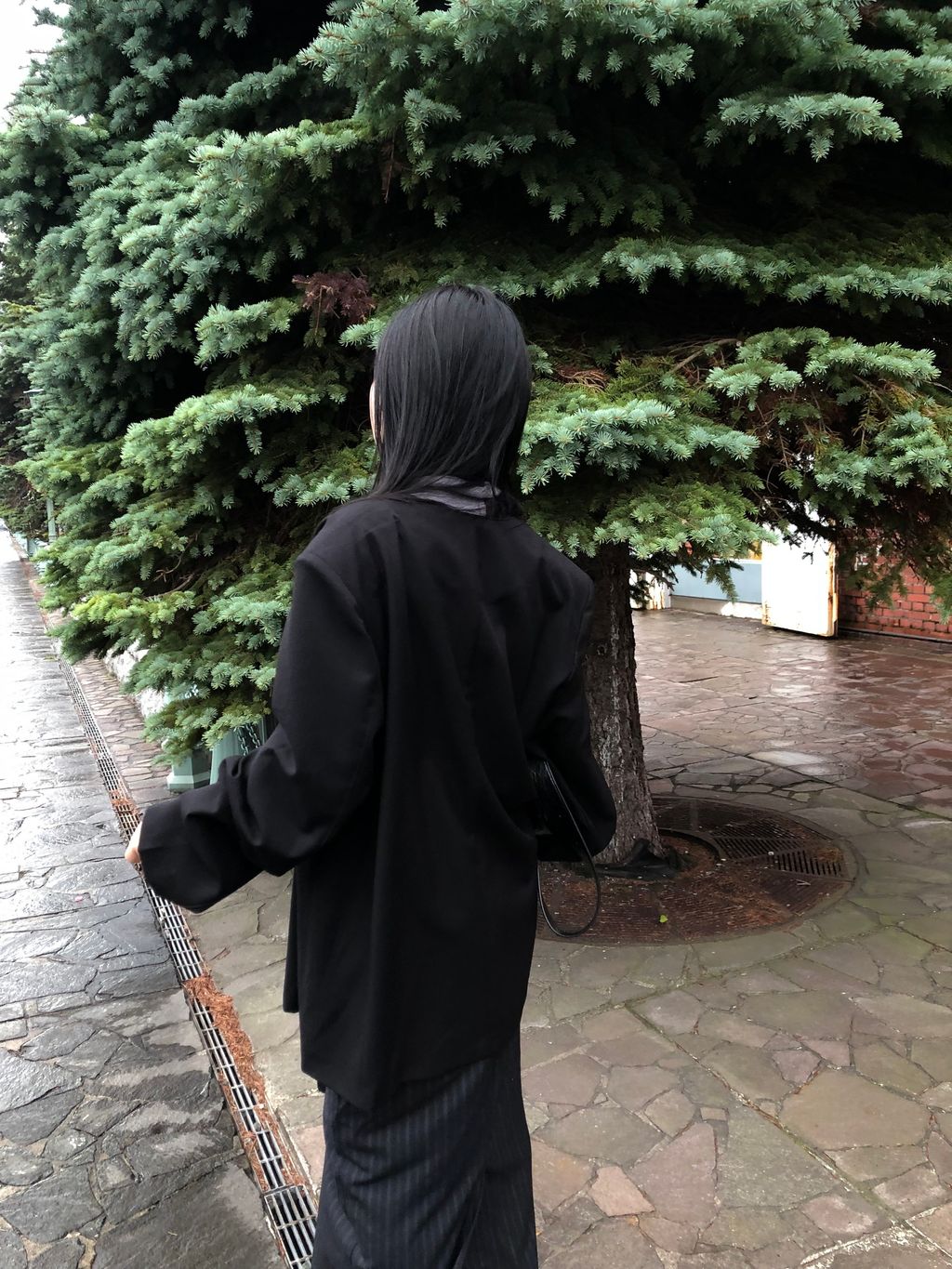 image_1925FA68-2C81-47A1-950E-8C625ECF97DF_1789644241