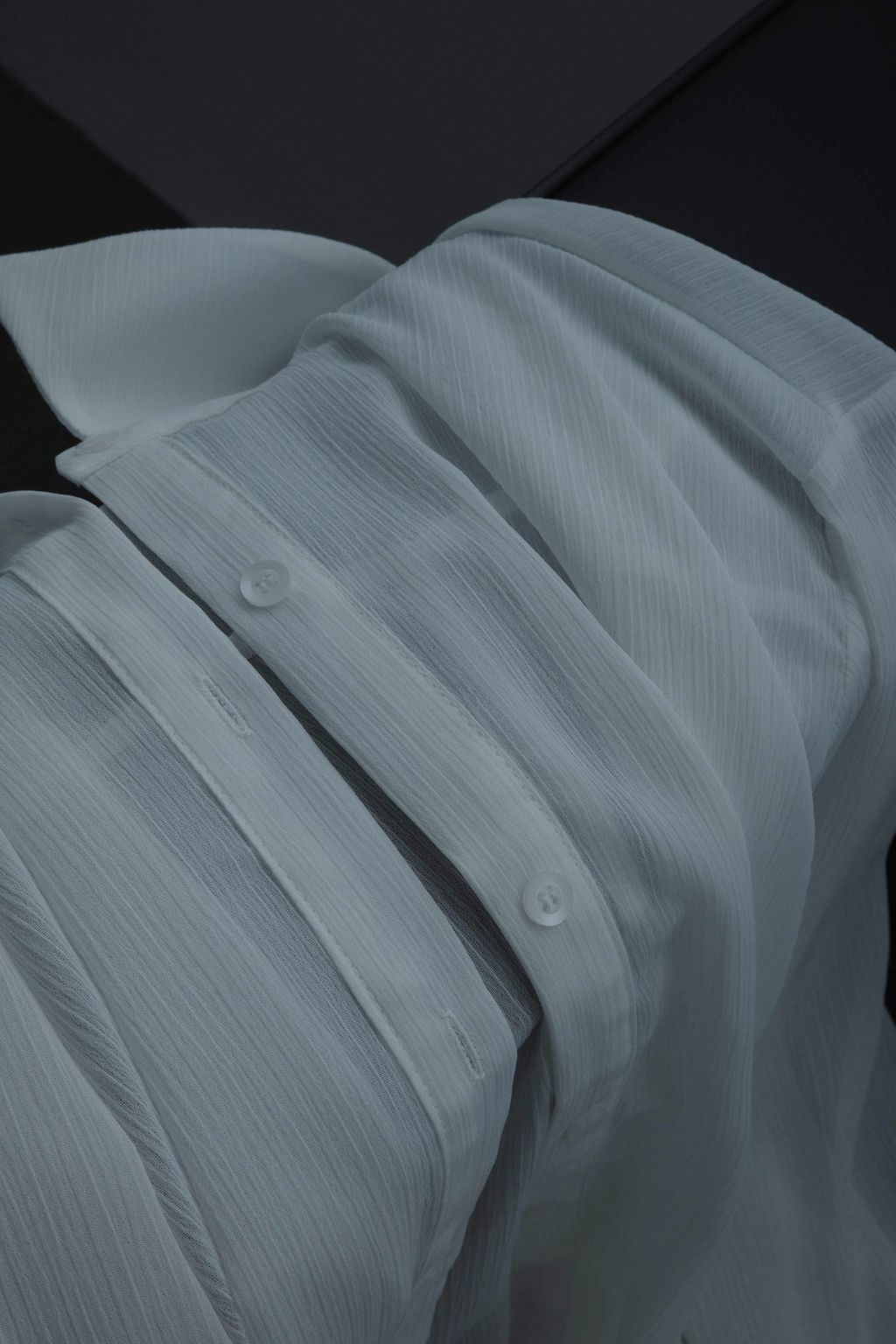 IMG_3462-1715945339551