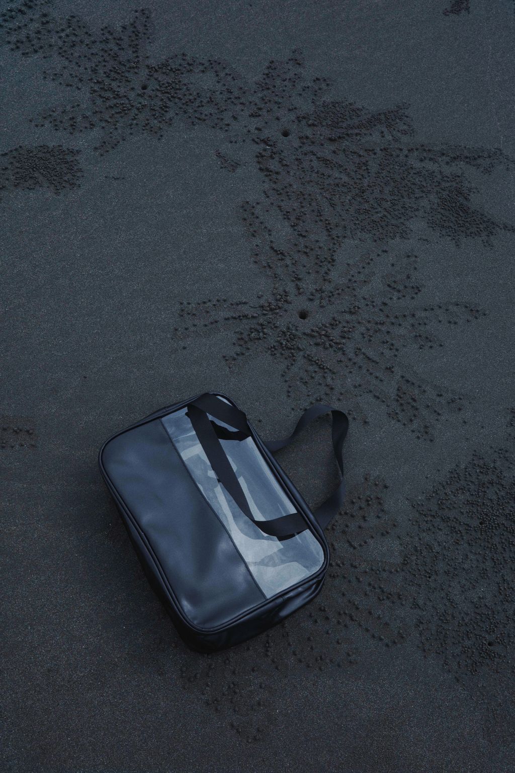 IMG_3572-1721547424054