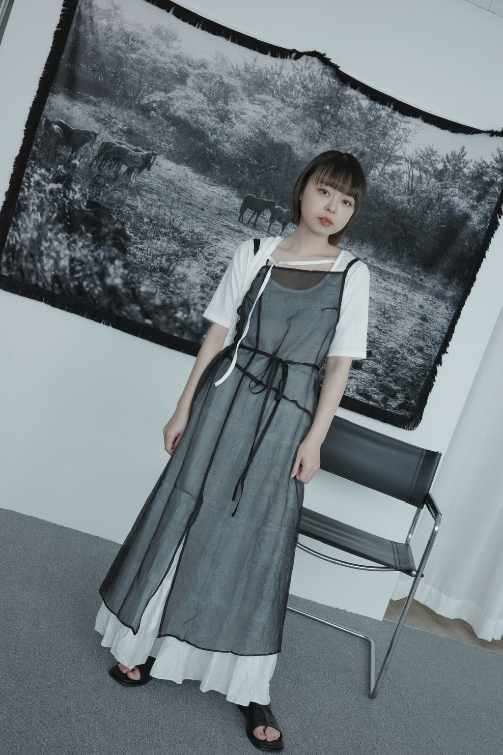 IMG_2432-1723027946503