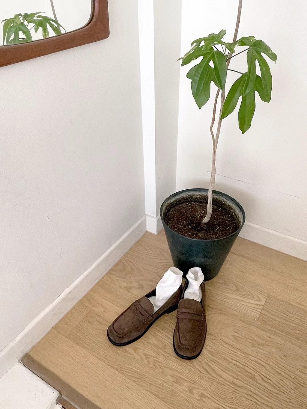 IMG_8091-1734791701273