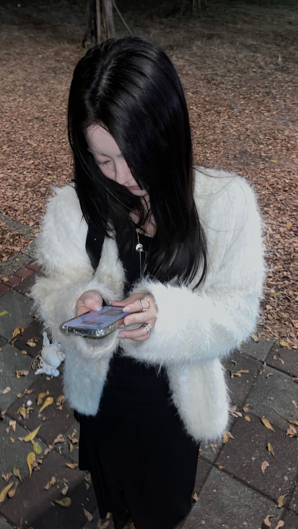 image_31FC246F-A44E-4B63-9A96-6508DD567271_1767897889