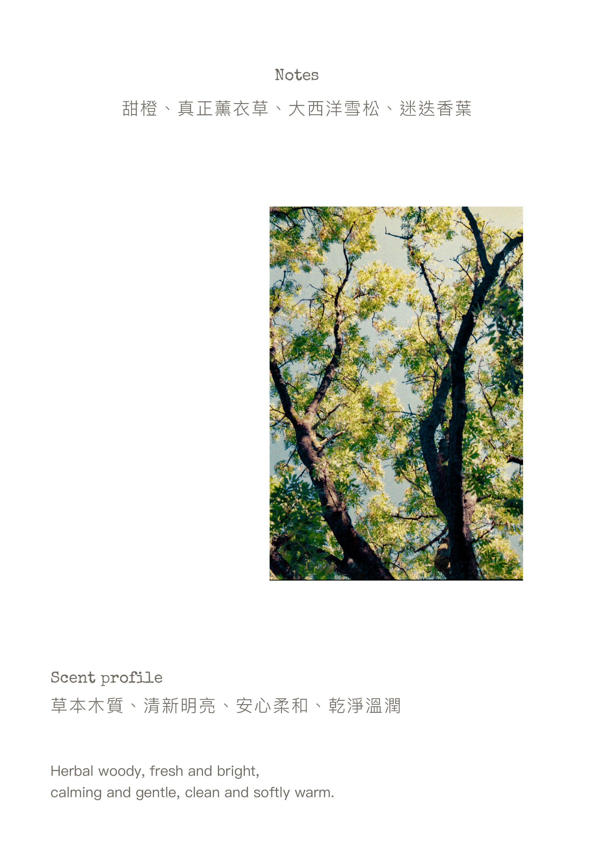 E01工作區域 1_1@2x-100