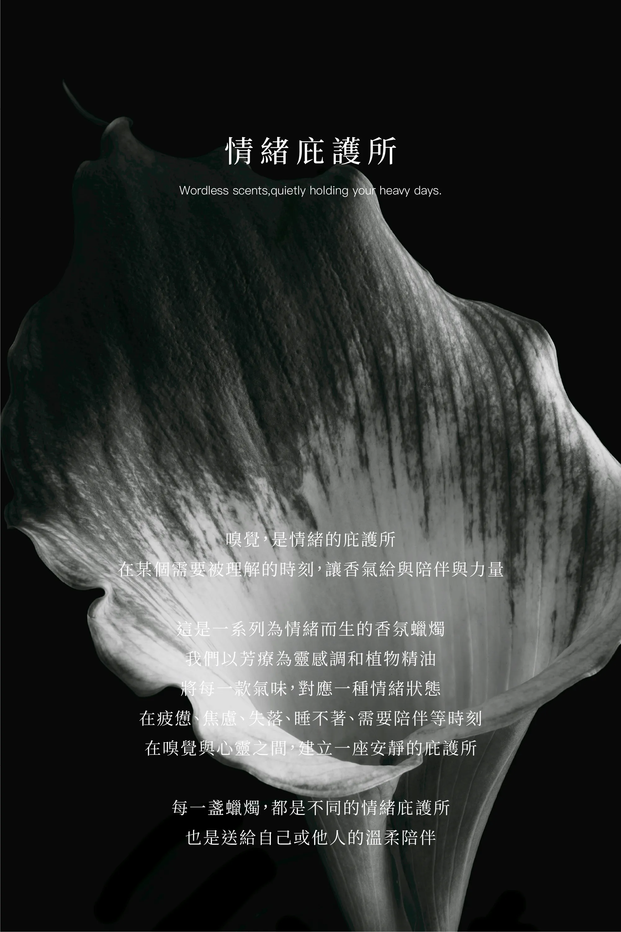 emo內文工作區域 1_1@2x-100