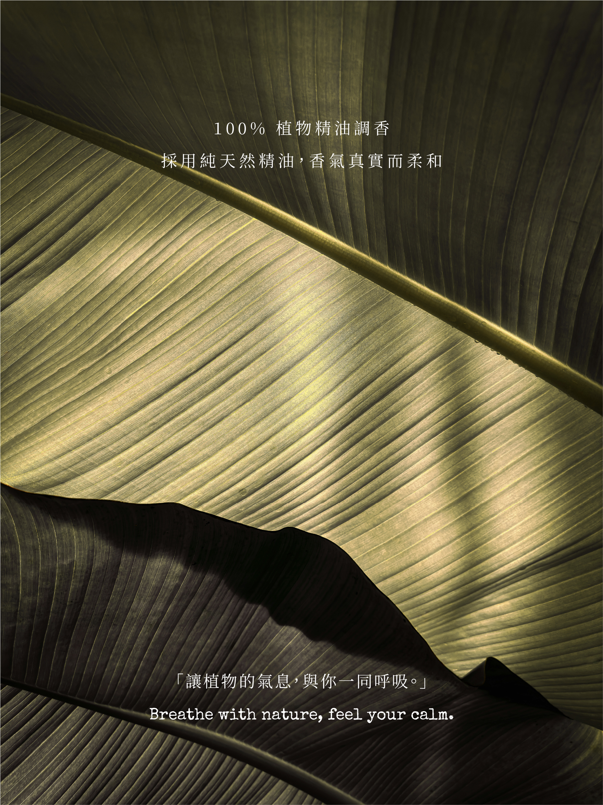 emo內文工作區域 1_4@2x-100