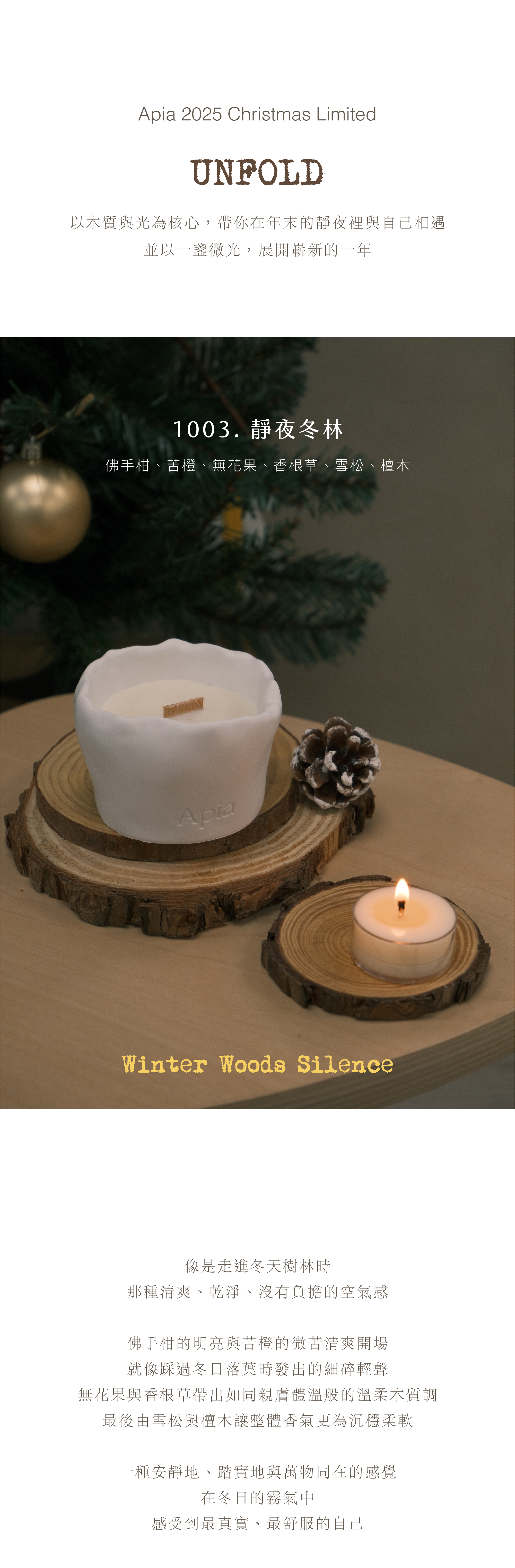 xmas工作區域 25_4@2x-100