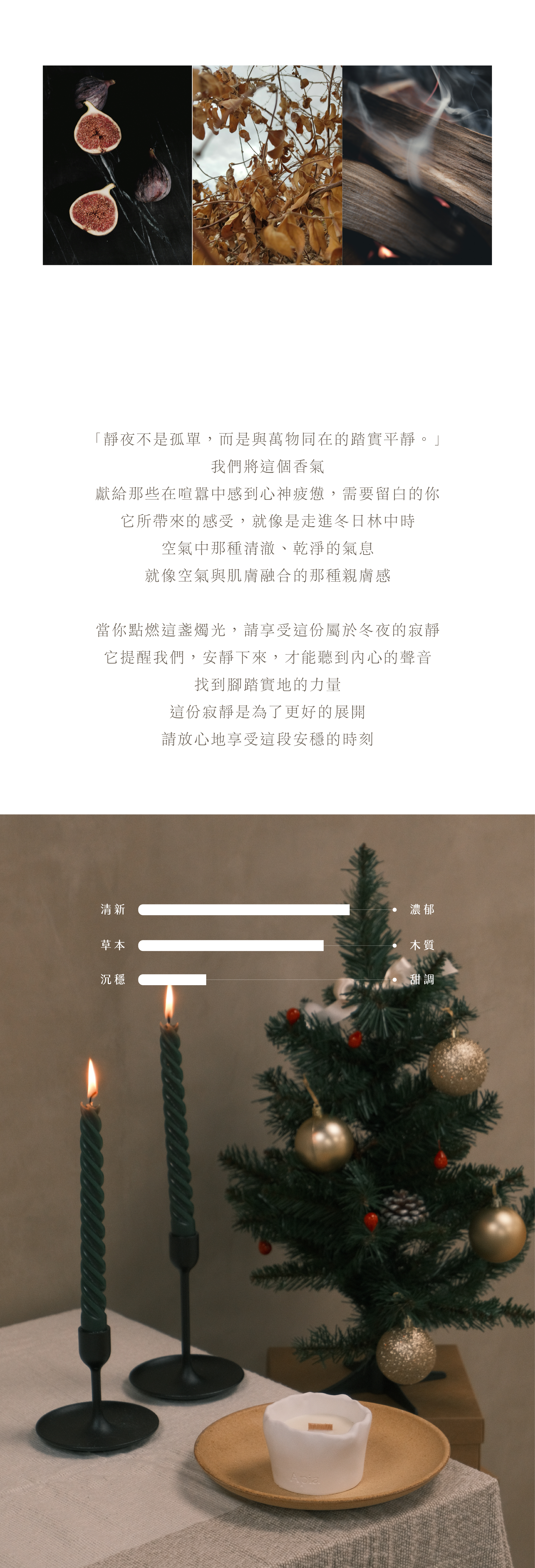 xmas工作區域 25_5@2x-100