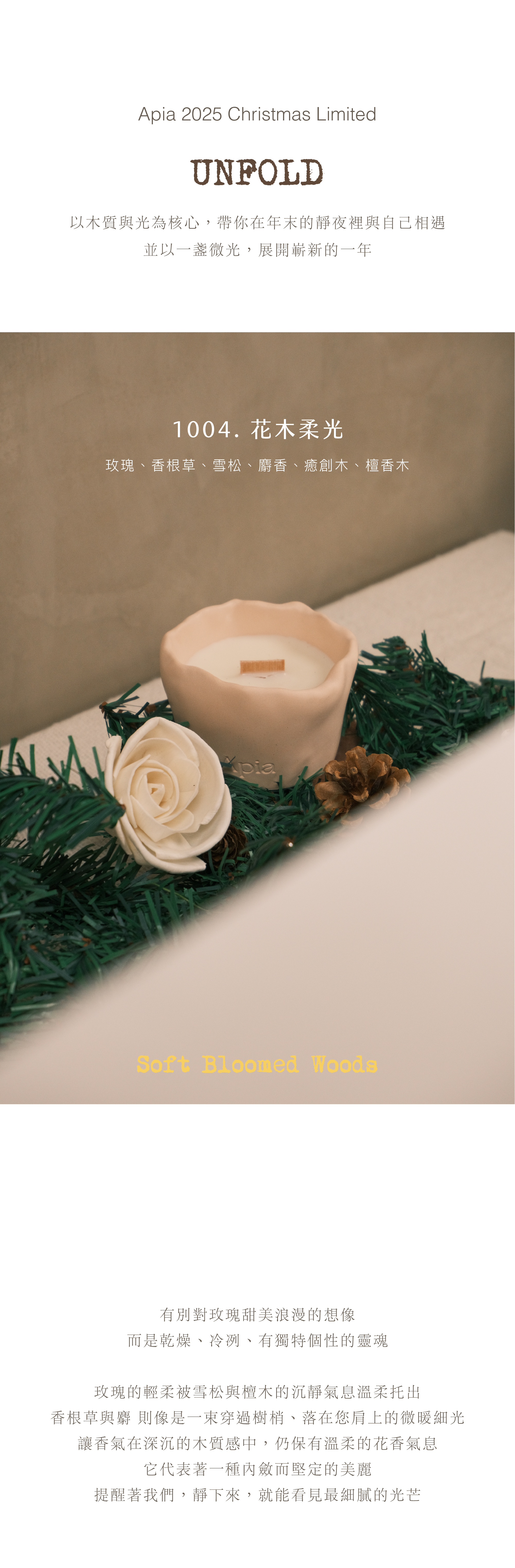 xmas工作區域 25_6@2x-100