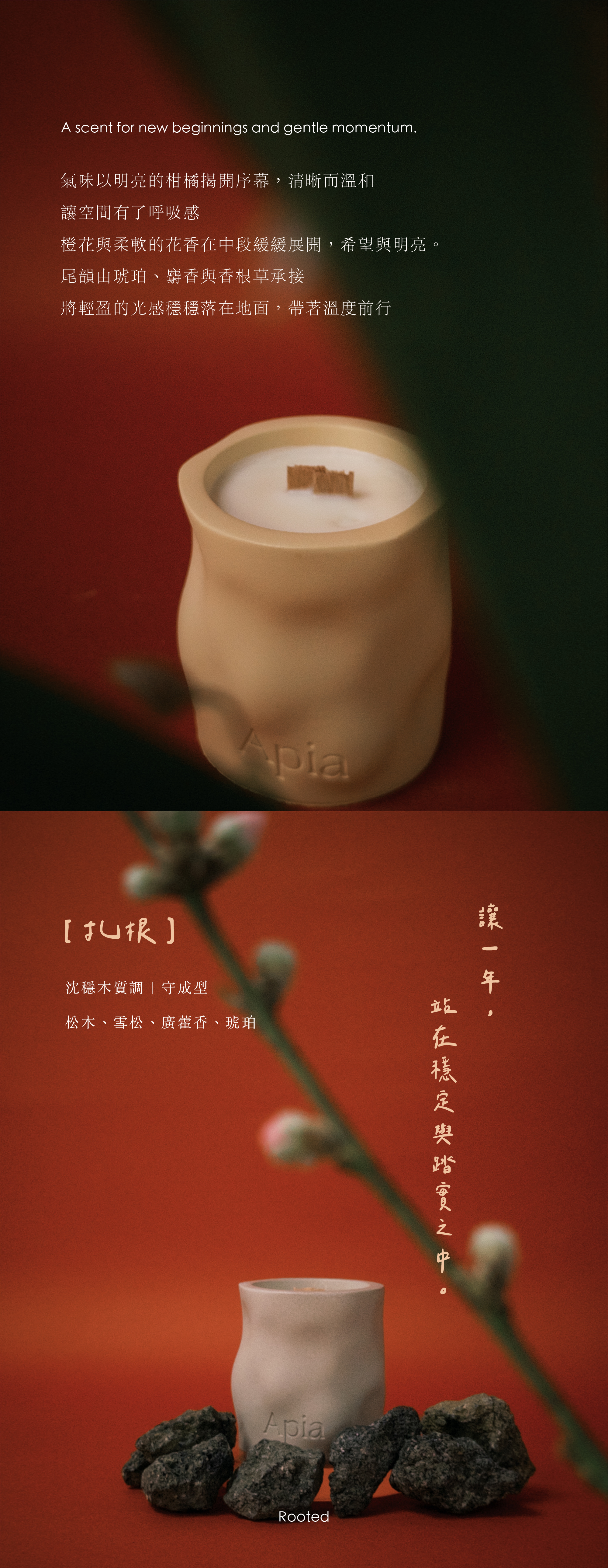 new year工作區域 3@2x-100