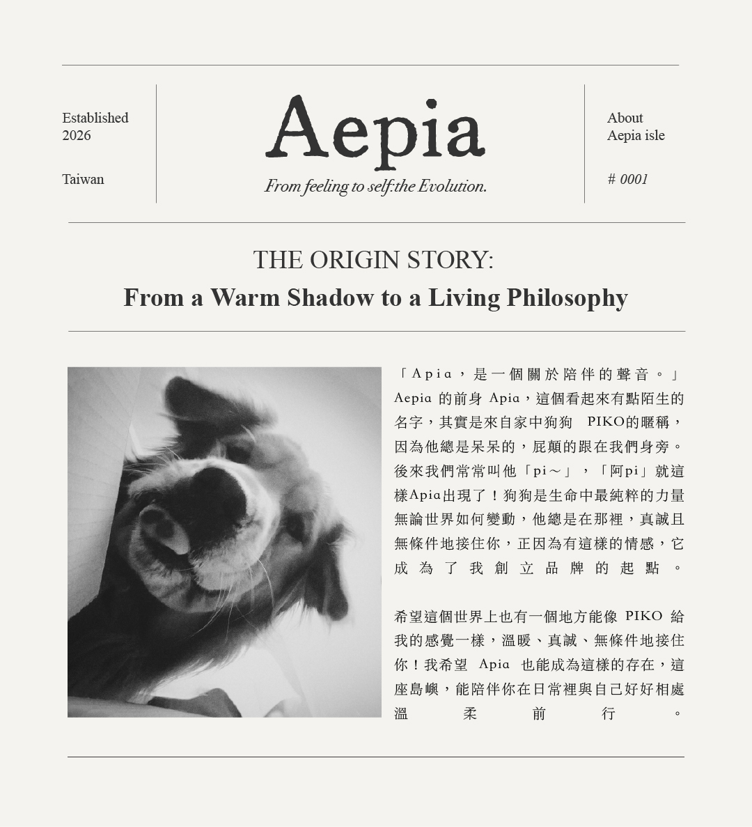 About Aepia工作區域 1-100