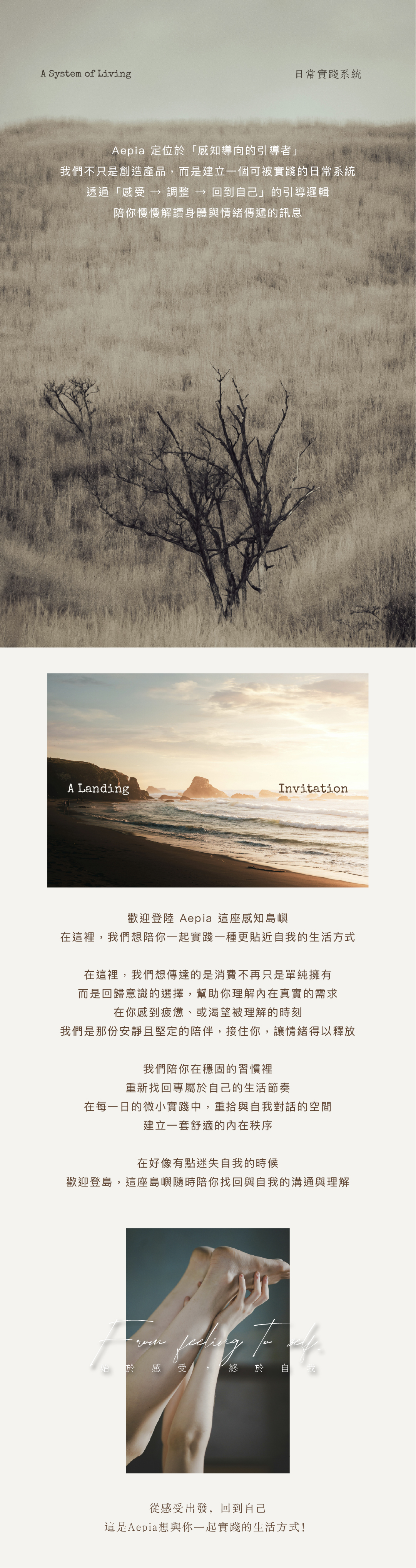 About Aepia工作區域 1_2-100