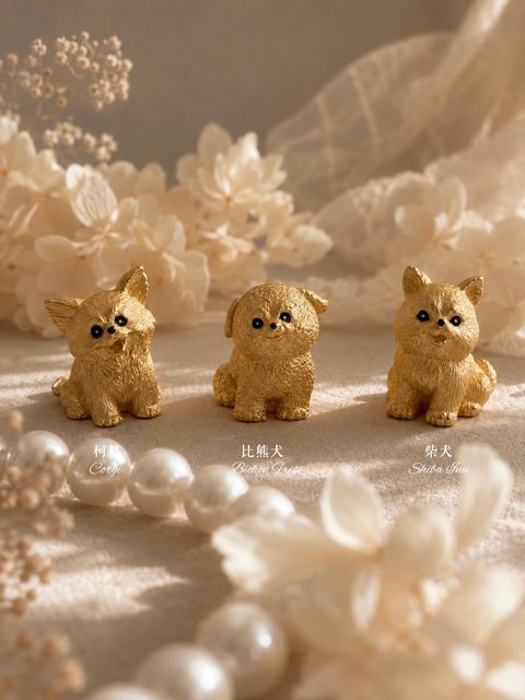 比熊犬