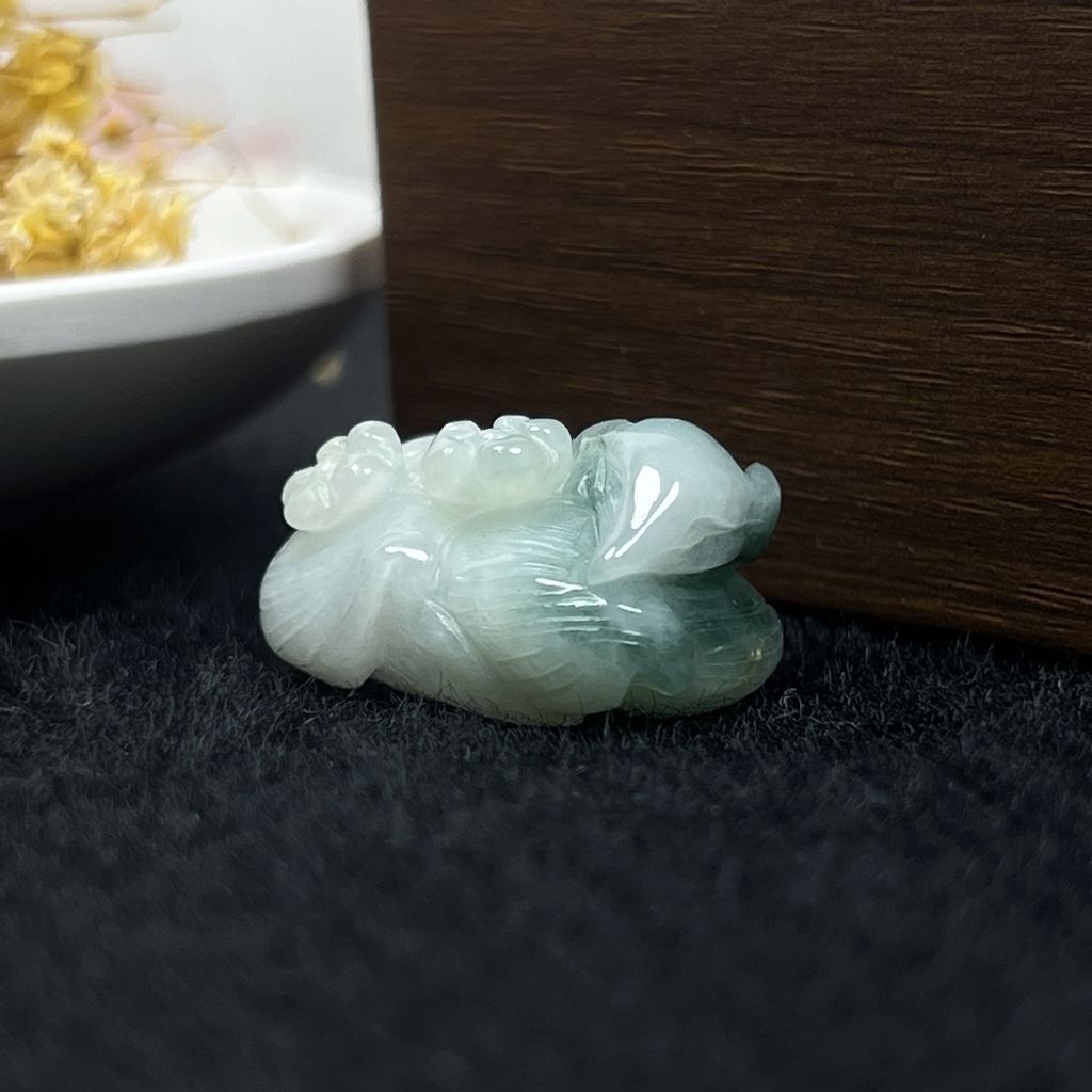 IMG_4705