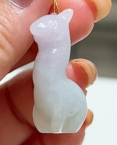 羊駝1