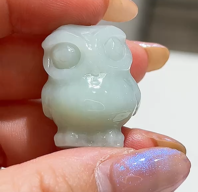 貓1