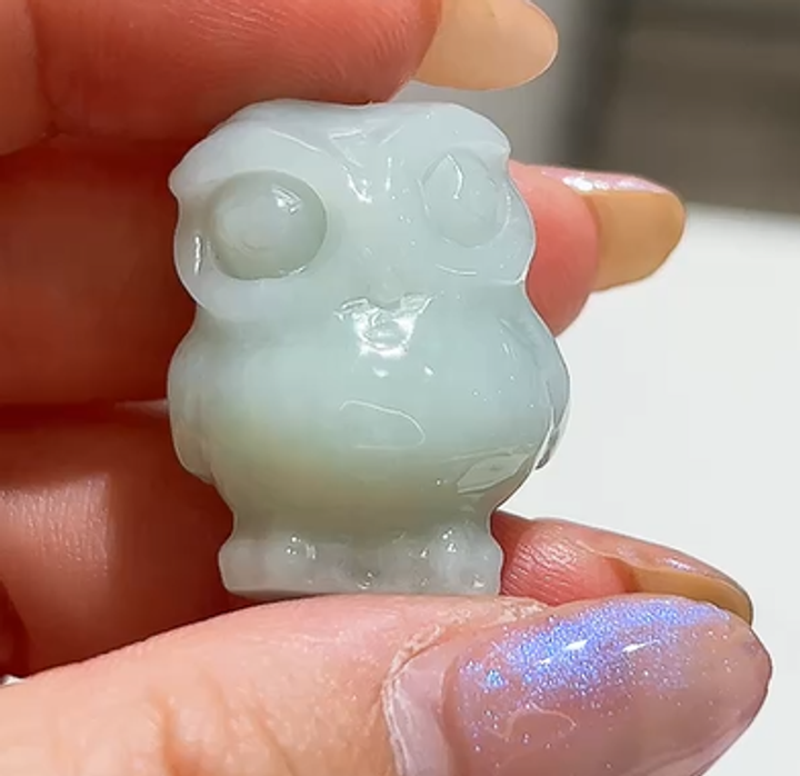 貓1