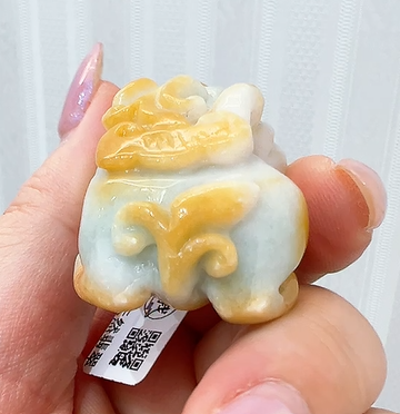 皮5