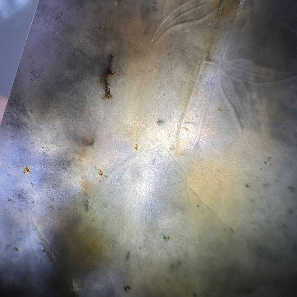 tw-11134207-7ra0m-mcab0kbtrek15c