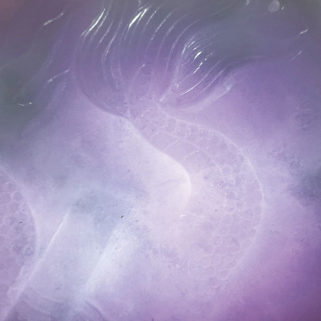 tw-11134207-7ra0t-mcabnuygltloa5