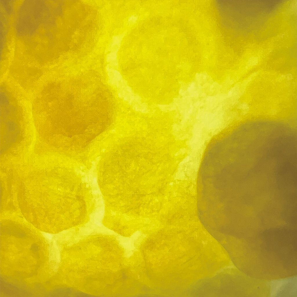 tw-11134207-7ra0p-mcbwyp2qzlv5ff