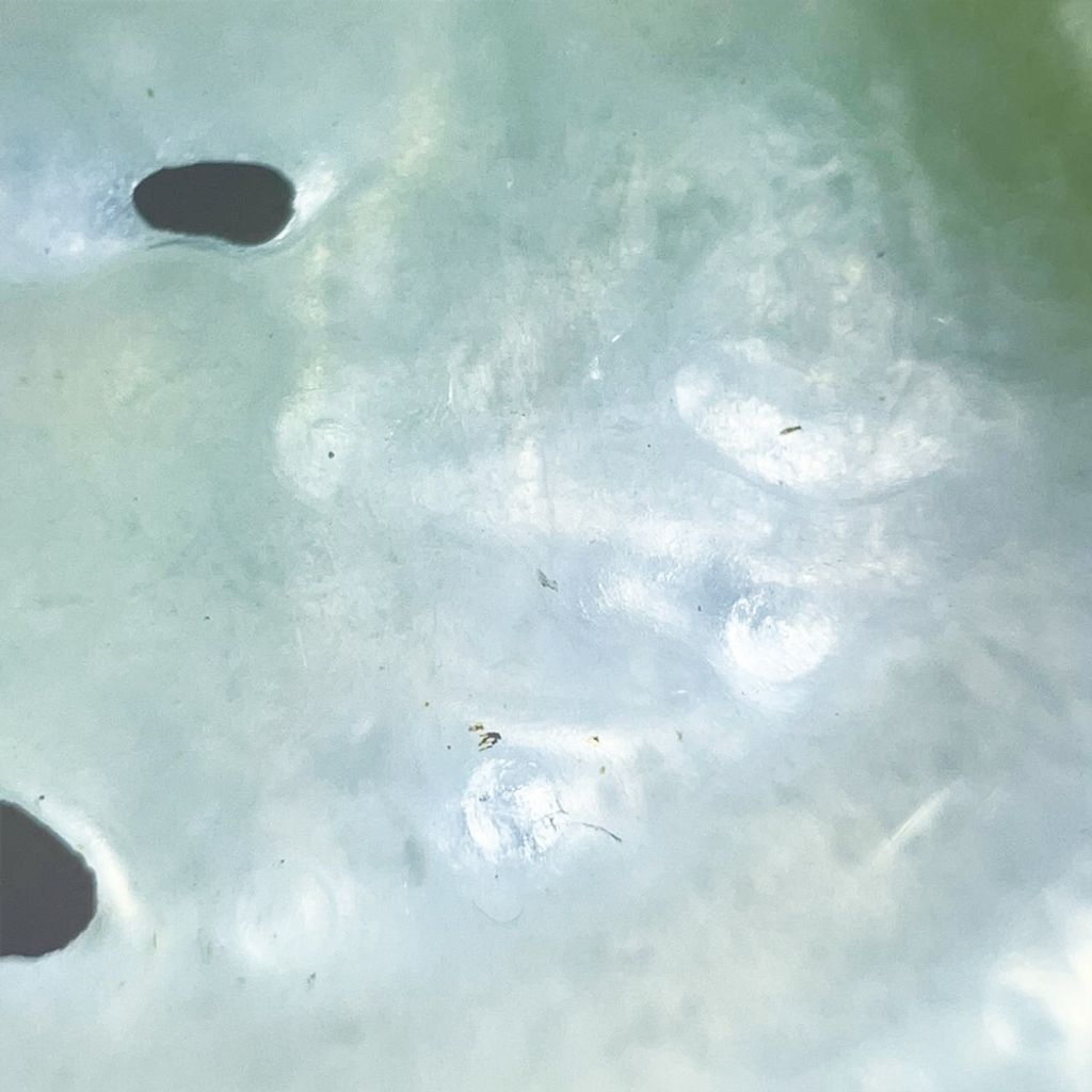 tw-11134207-7ra0r-mcj2mnb6mtj3d1