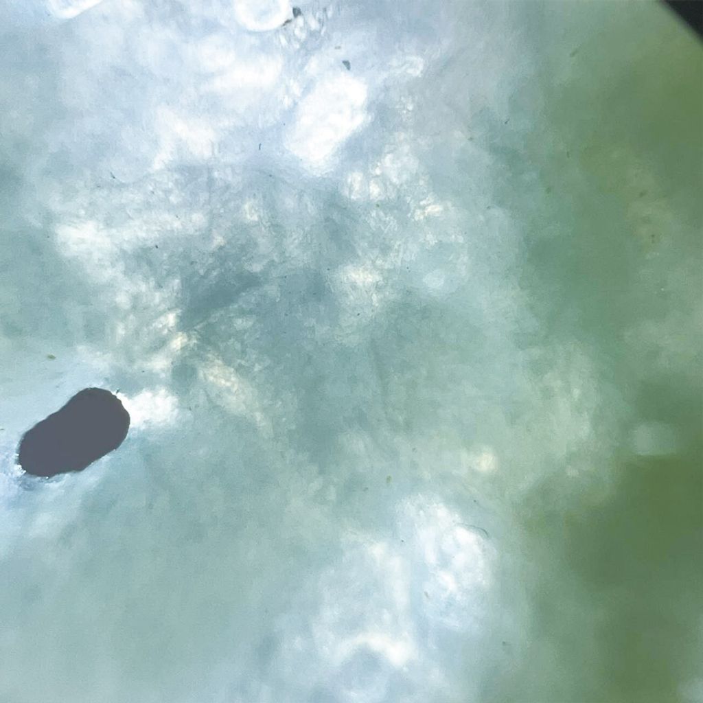 tw-11134207-7ra0i-mcj2mnb6leyn8e