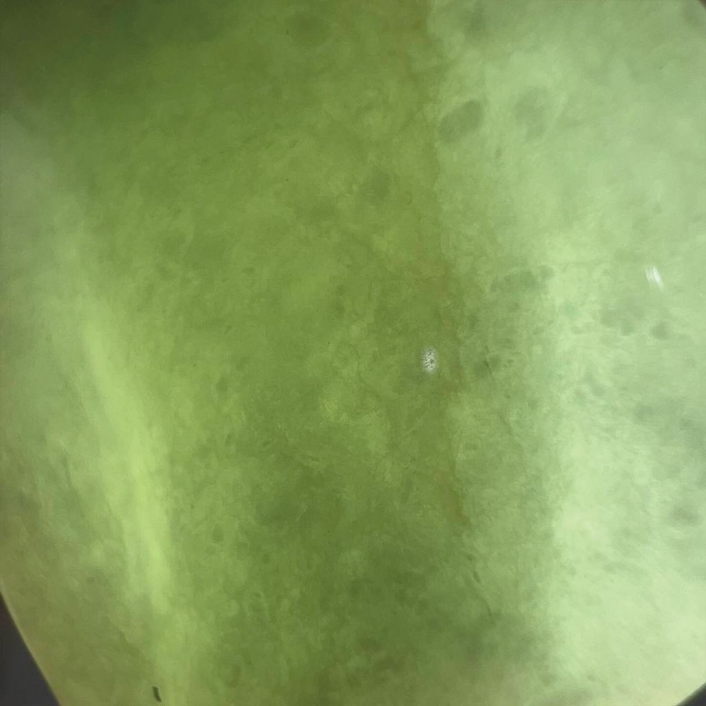 tw-11134207-7ra0r-mcvlj1zqrbk0da