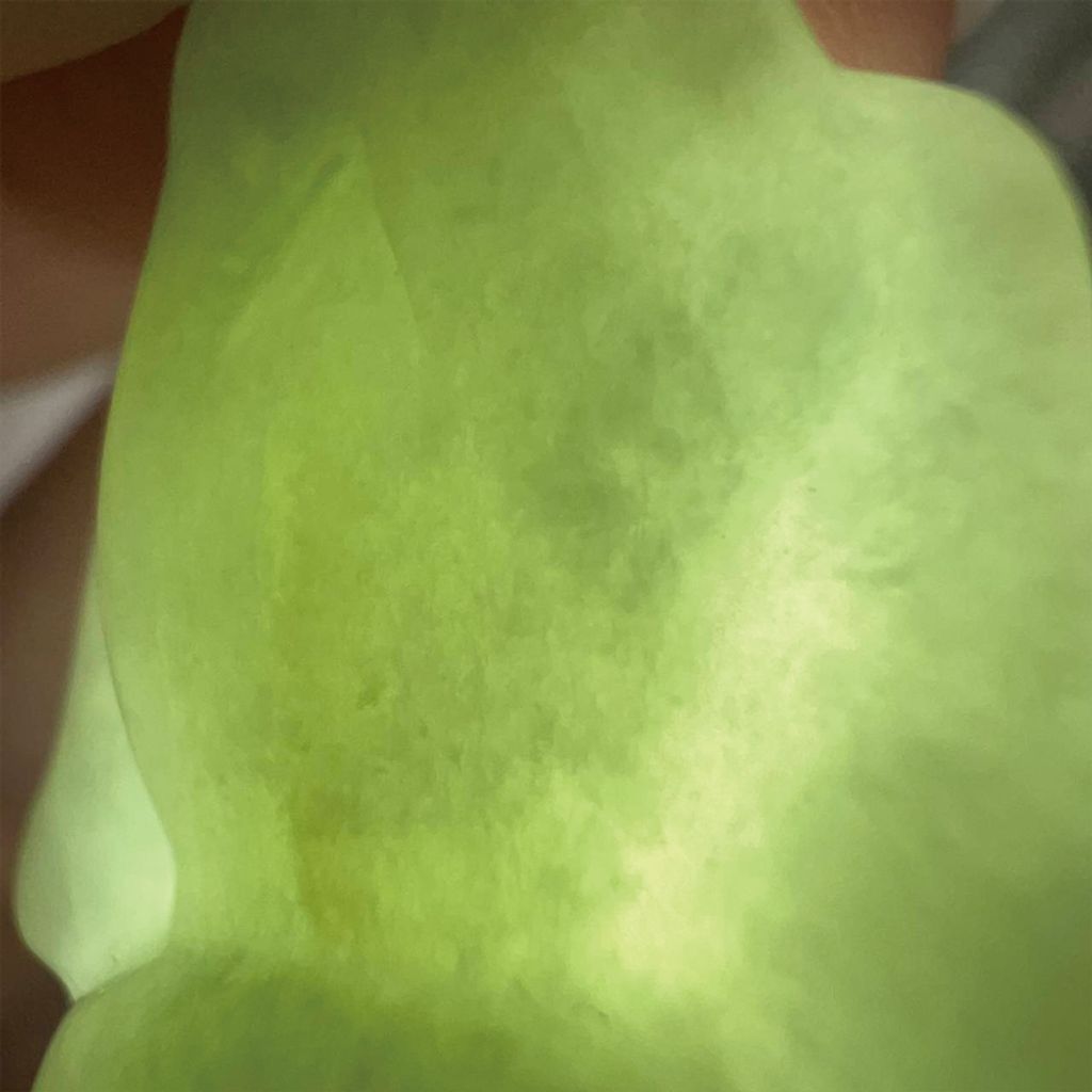 tw-11134207-7ra0q-mcvlj1zqpx0qdc