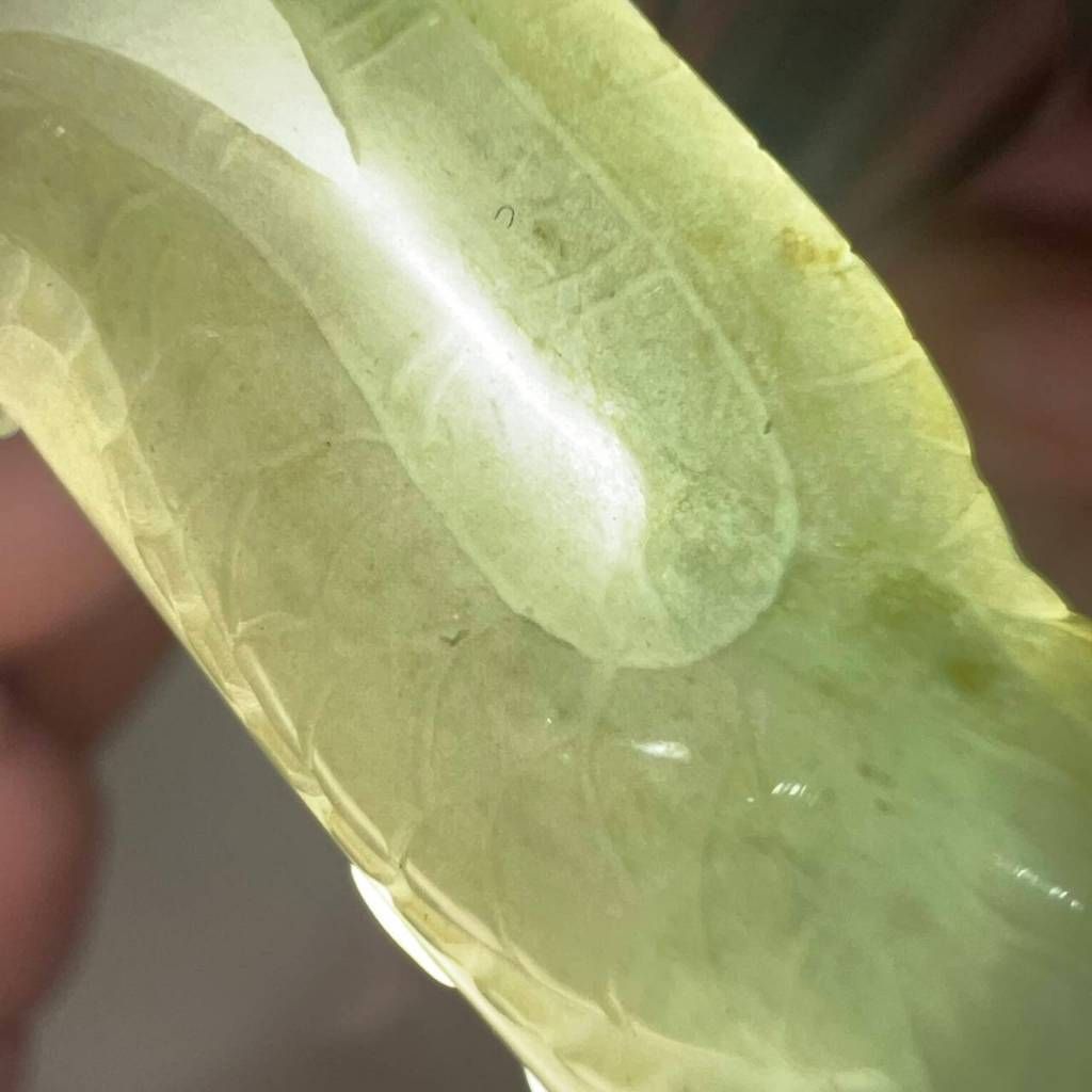 tw-11134207-7ra0u-mcuiz4rwrjuo4f