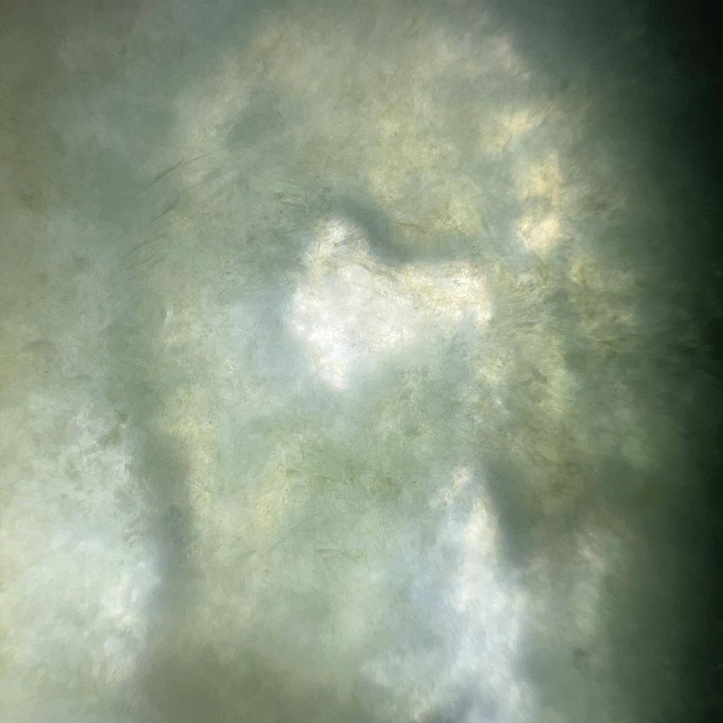 tw-11134207-7ra0r-mcvm0v4whe0vda