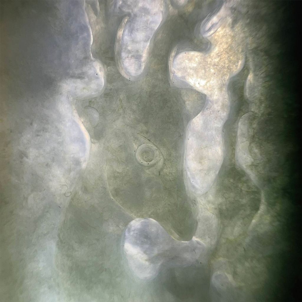 tw-11134207-7ra0s-mcvm0v7odbsv2a