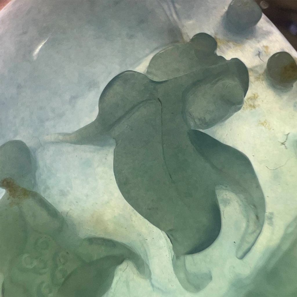 tw-11134207-7ra0p-mcvmrombm5og44