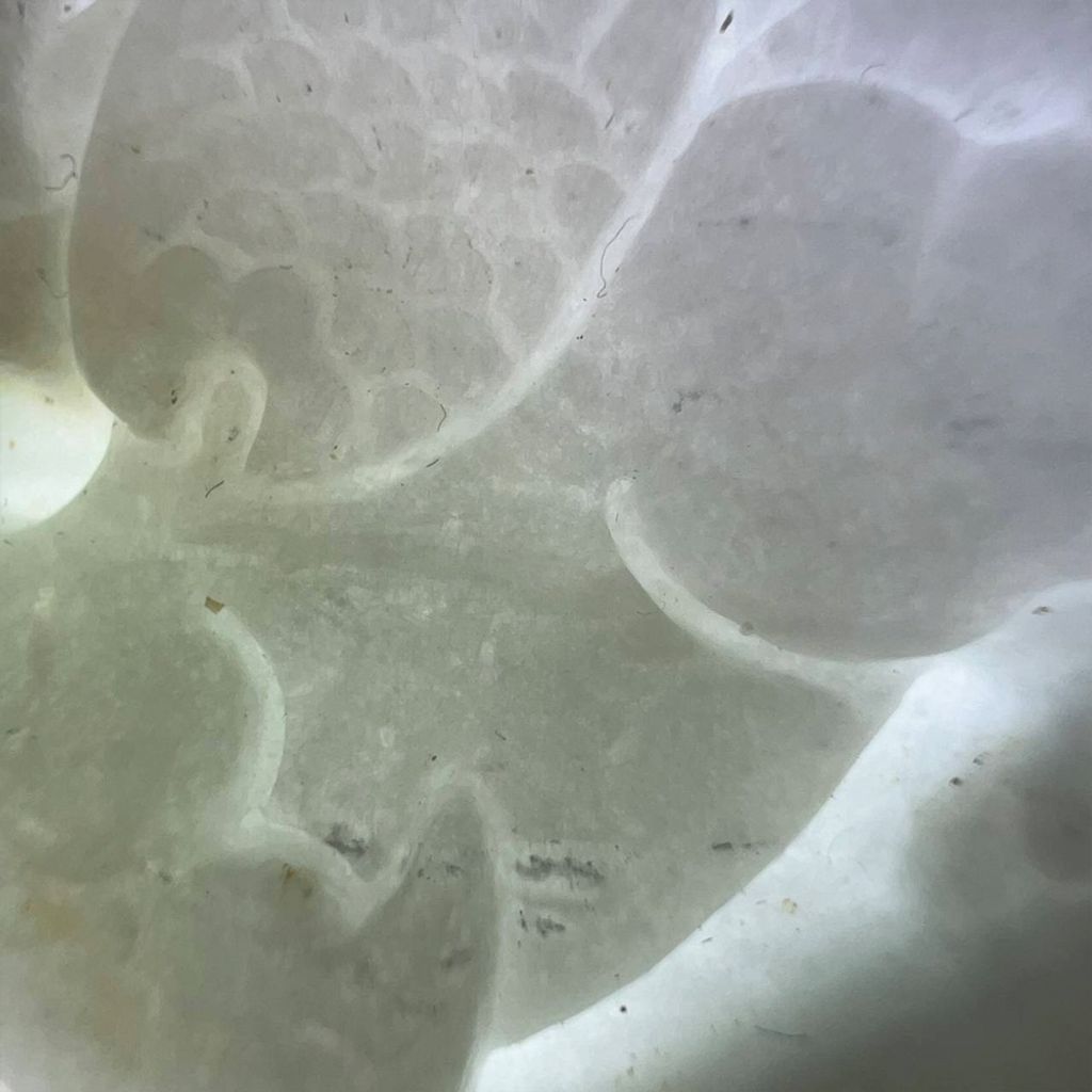 tw-11134207-7ra0n-mcvommycf67z5a