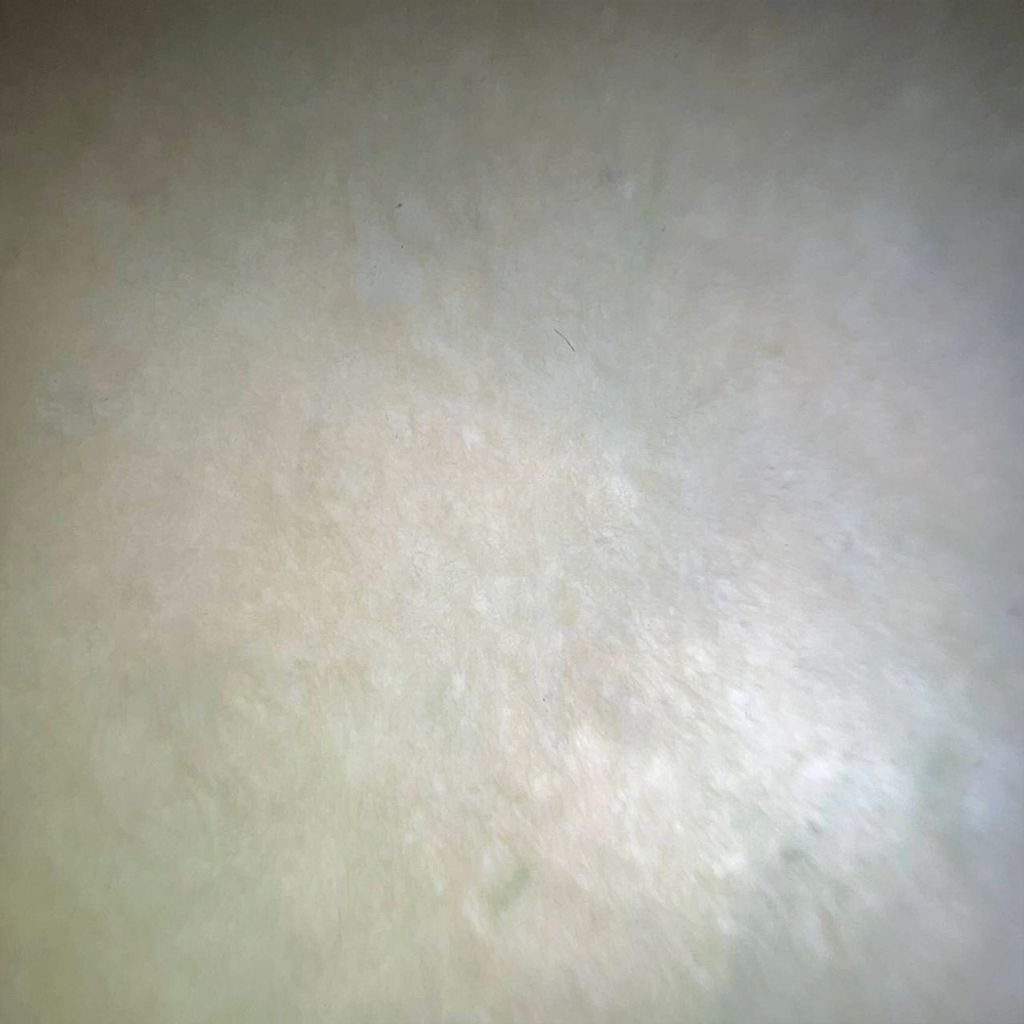 tw-11134207-7ra0l-mcvspej6i62nd2