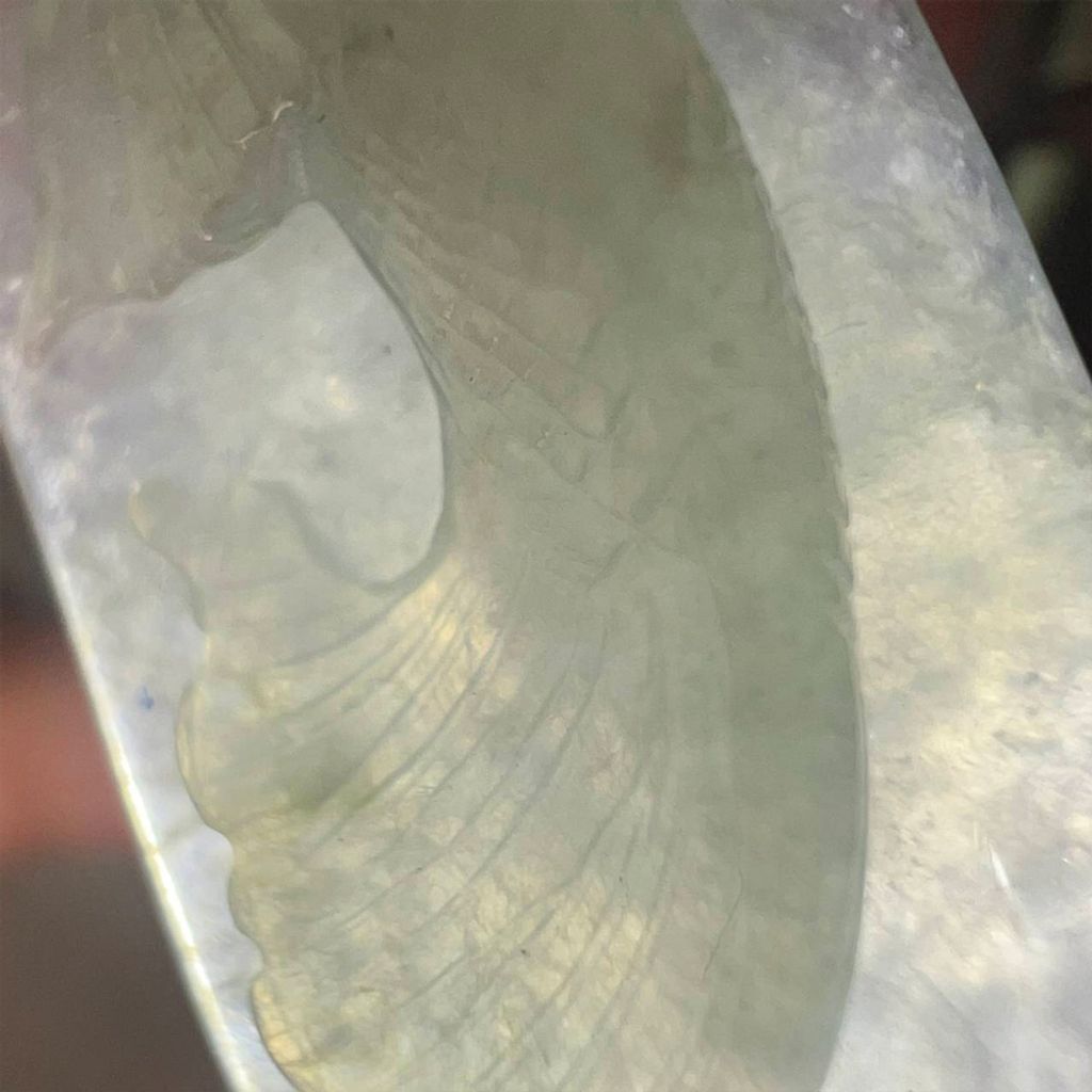 tw-11134207-7ra0q-mcvstns0908a5a