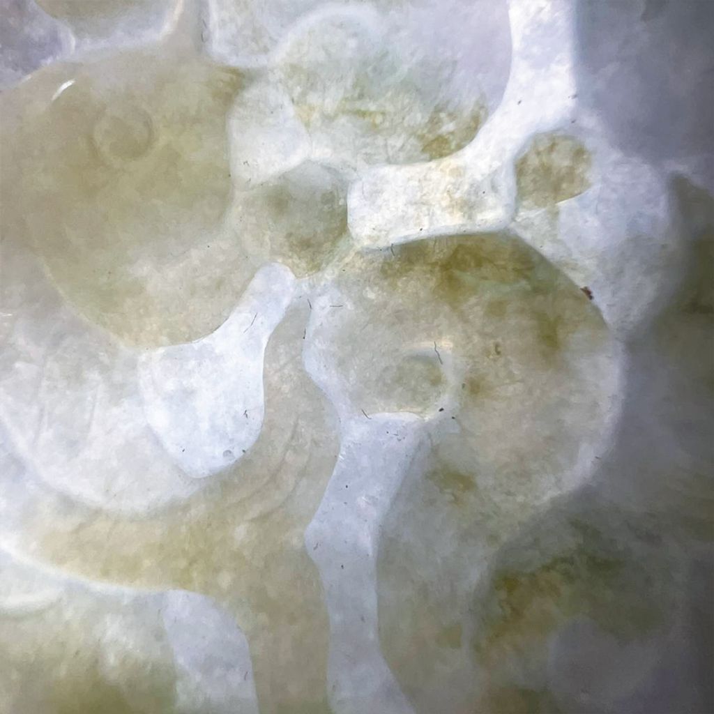 tw-11134207-7ra0j-mcvsj3keok1689