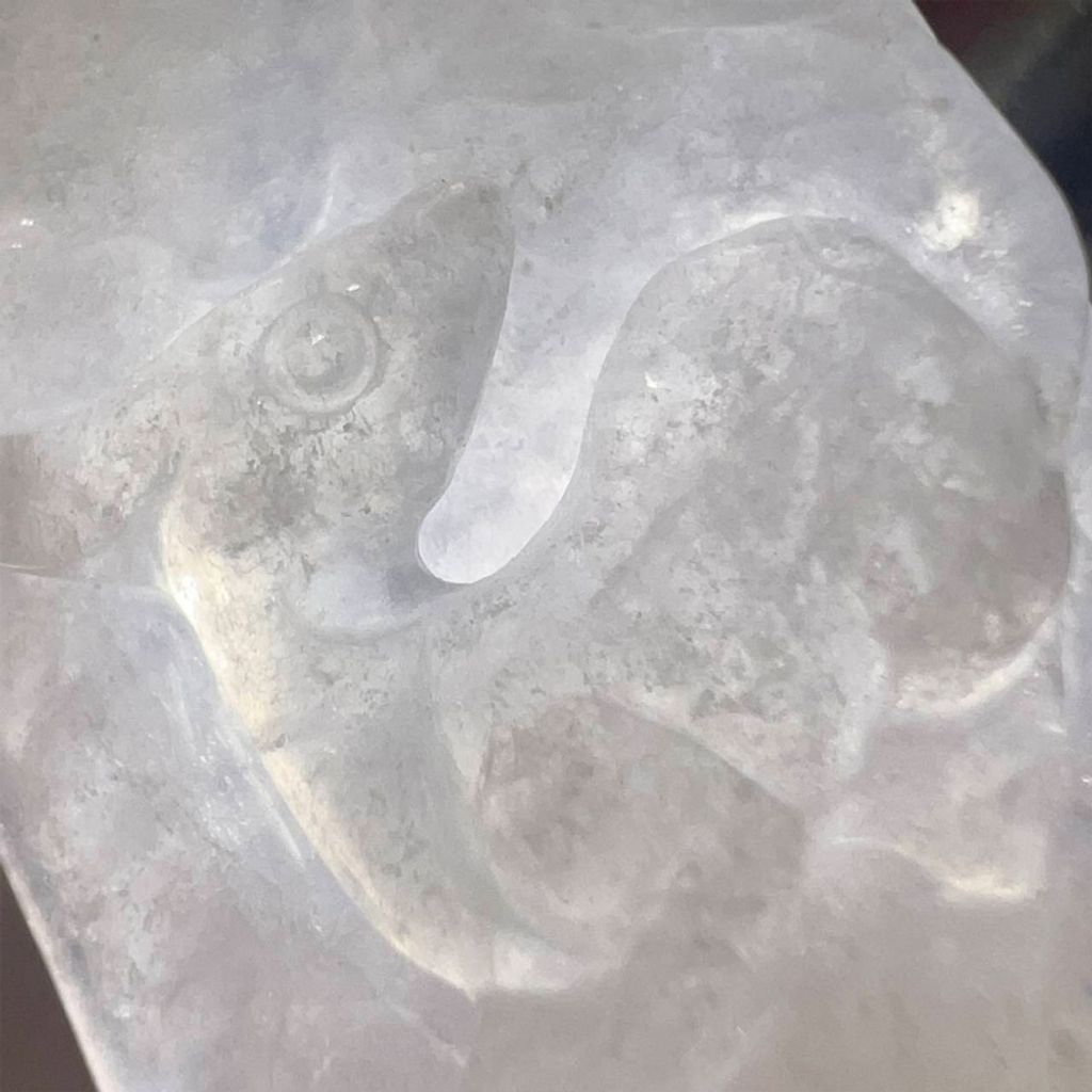 tw-11134207-7ra0i-mcvq7vcn8npbee