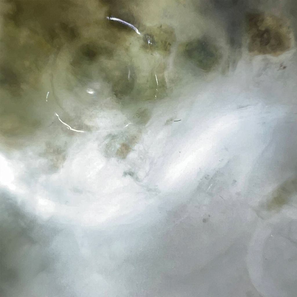 tw-11134207-7ra0i-mcw3e7qo3arkcb