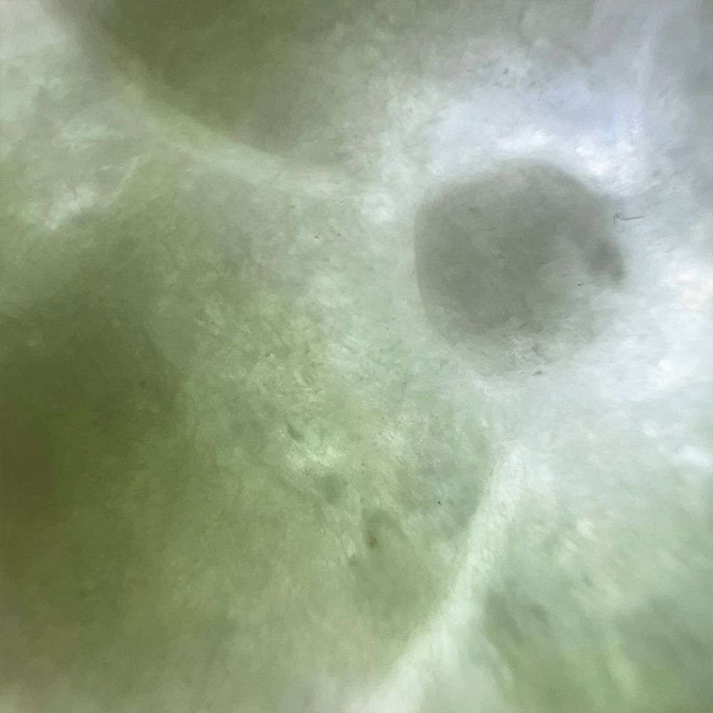 tw-11134207-7ra0n-md5okvu2ophbc5