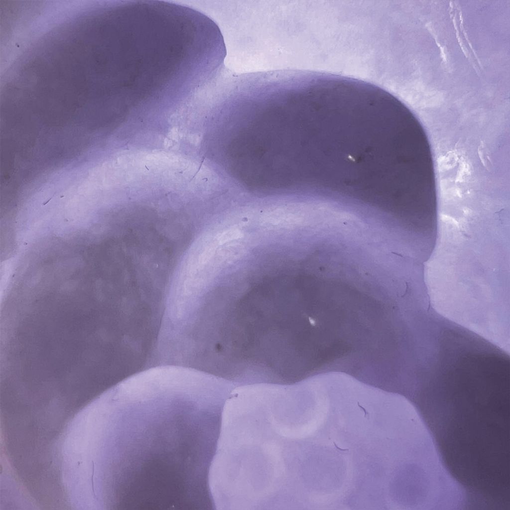 tw-11134207-7ra0j-md5rack43eprf1