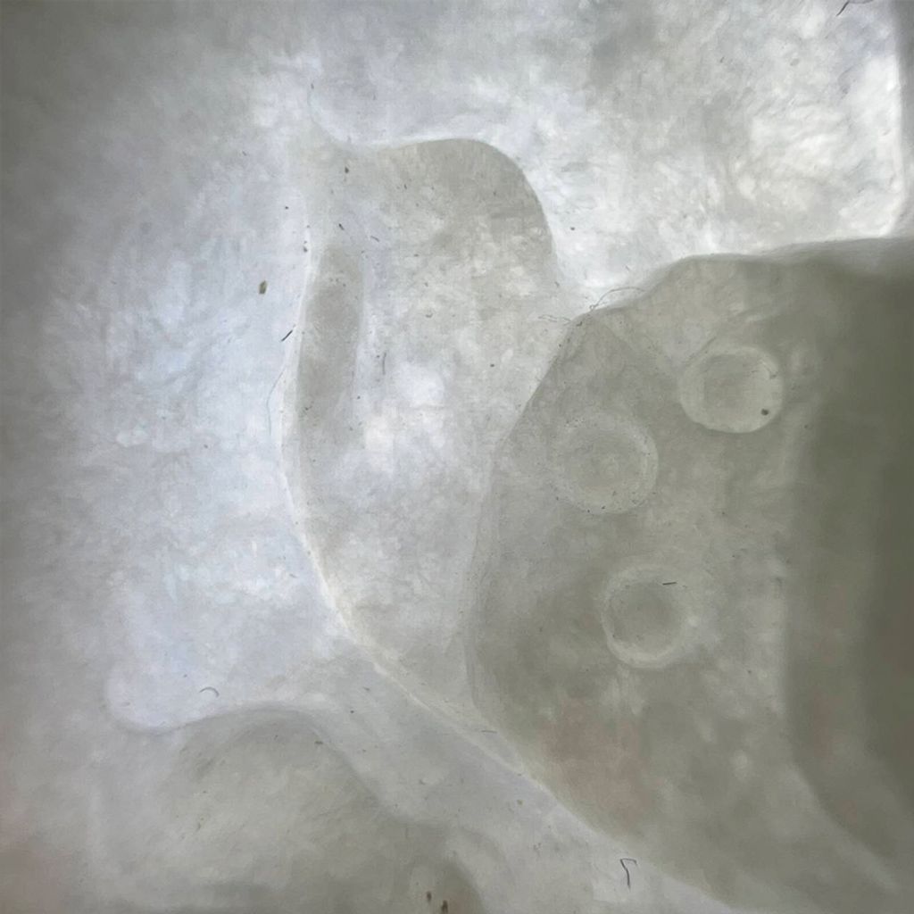 tw-11134207-7ra0k-md5otd9zpk5c3c