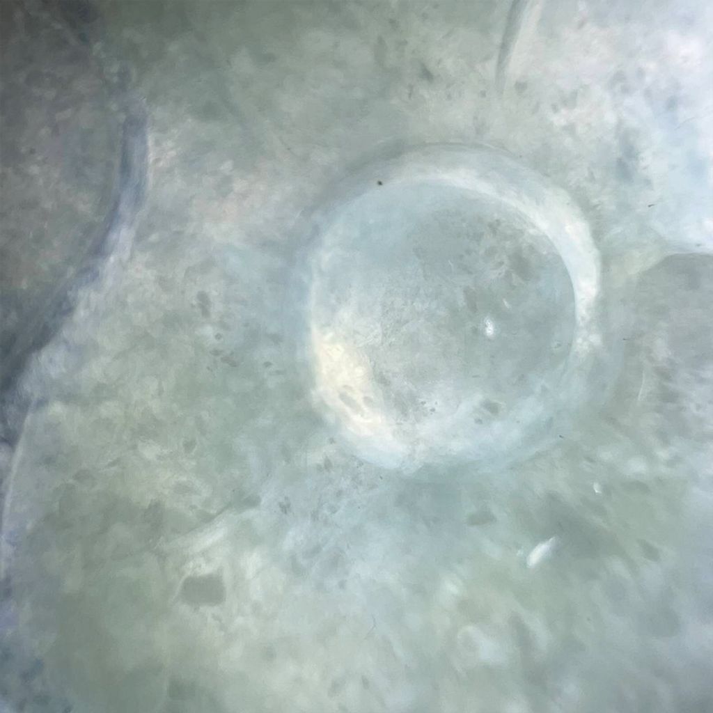 tw-11134207-7ra0p-md5nly2x99fj43