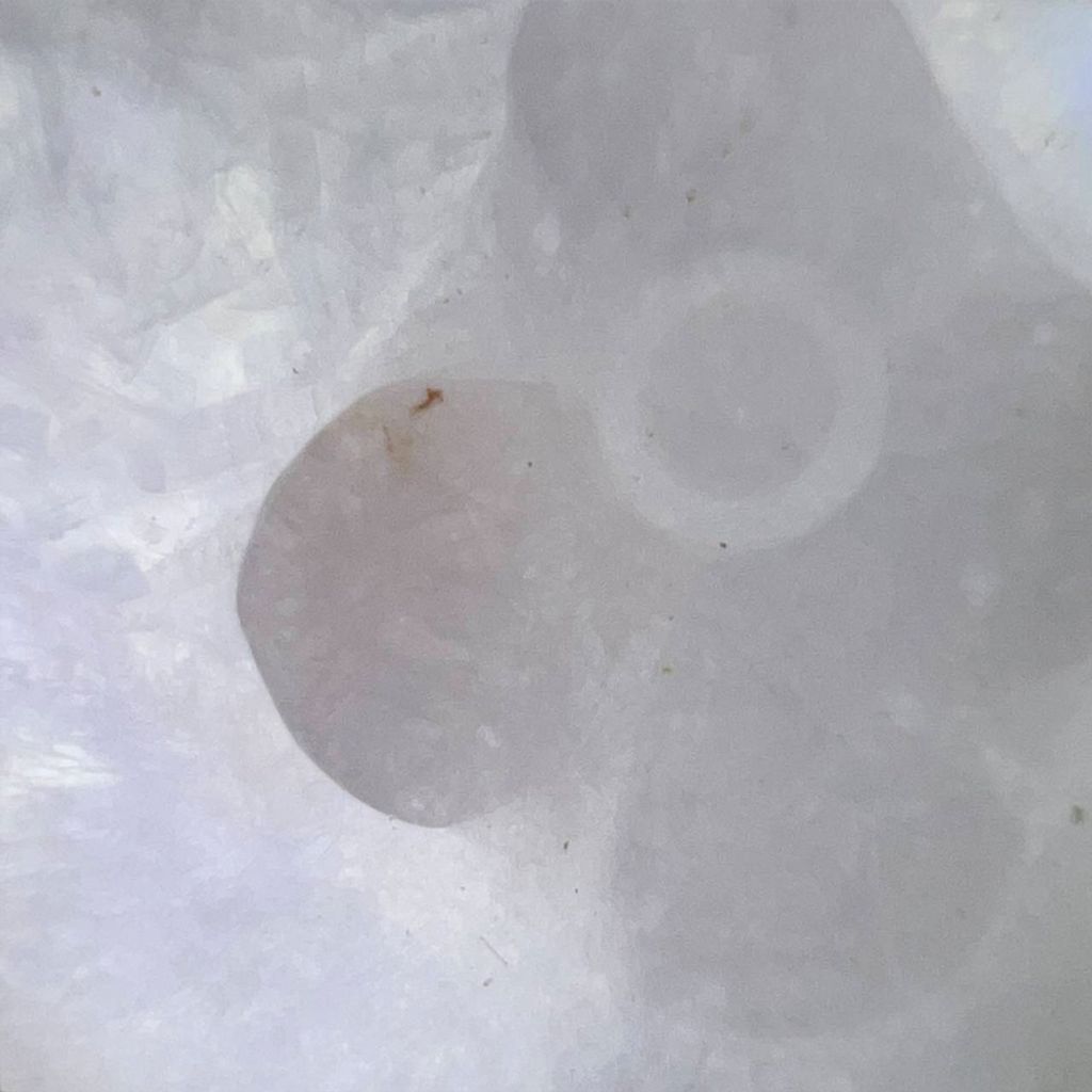 tw-11134207-7ra0p-md5ogoo5wbwg2b