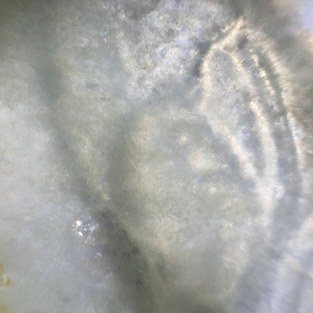 tw-11134207-7ra0r-md5op3fiue4fb8