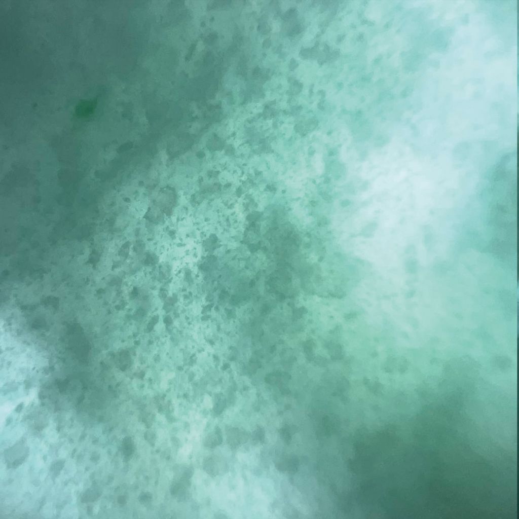 tw-11134207-7ra0h-mdcs4tl0vxtrb2