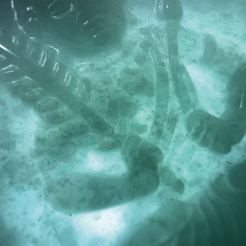 tw-11134207-7ra0l-mdcs4tjmxyynb7