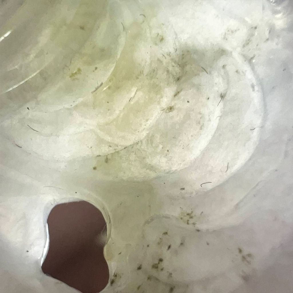 tw-11134207-7ra0p-mdcwt5xkaw5cdf